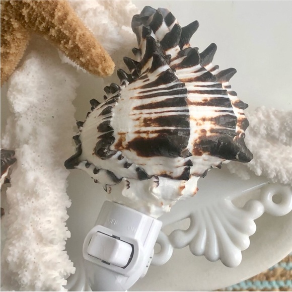 LADT ONE! NEW! Natural Black & White Murex Seashell Night Light - Picture 2 of 7